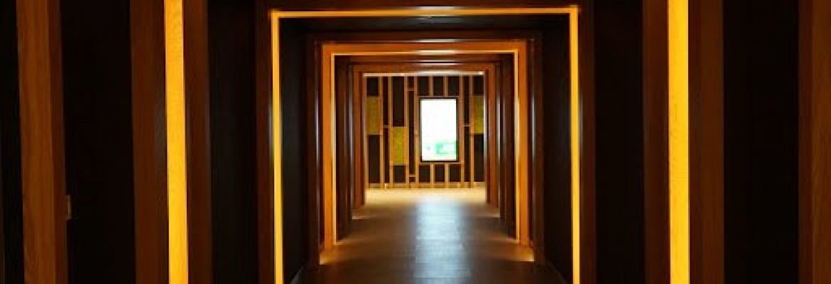 PepperMinted Pte Ltd