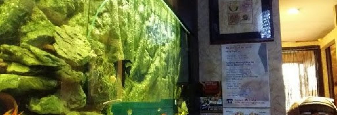 Hana Bodyworks & Post Natal Wellness