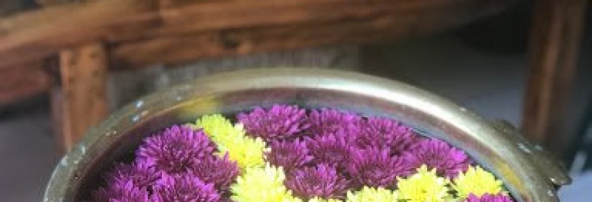 Amrita Ayurveda and Yoga