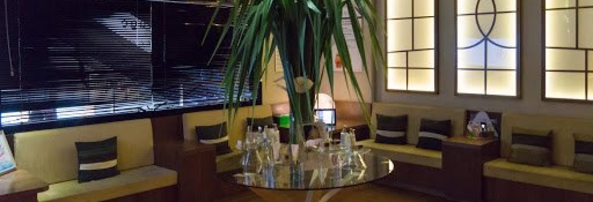 Elements Wellness 313