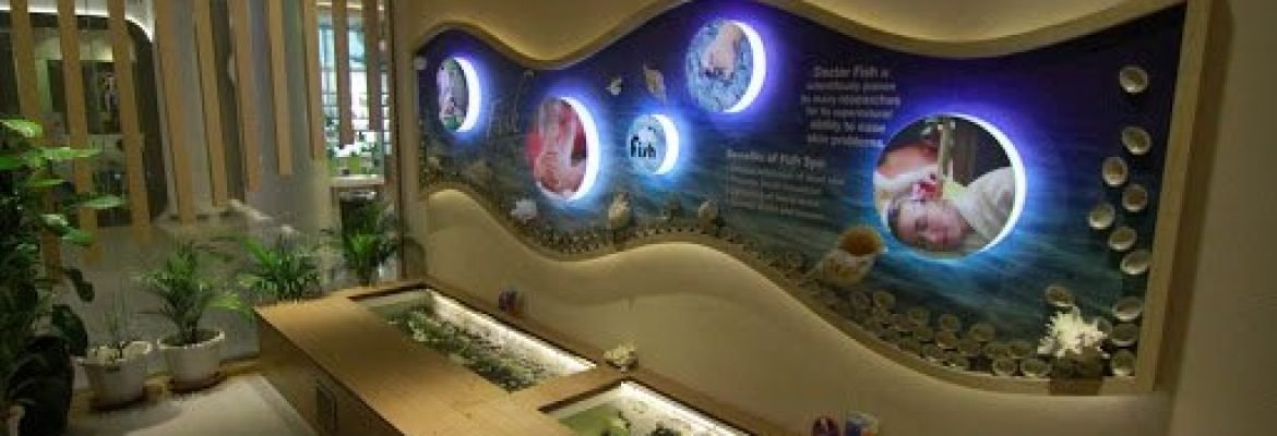 Kenko Wellness (Vivocity)