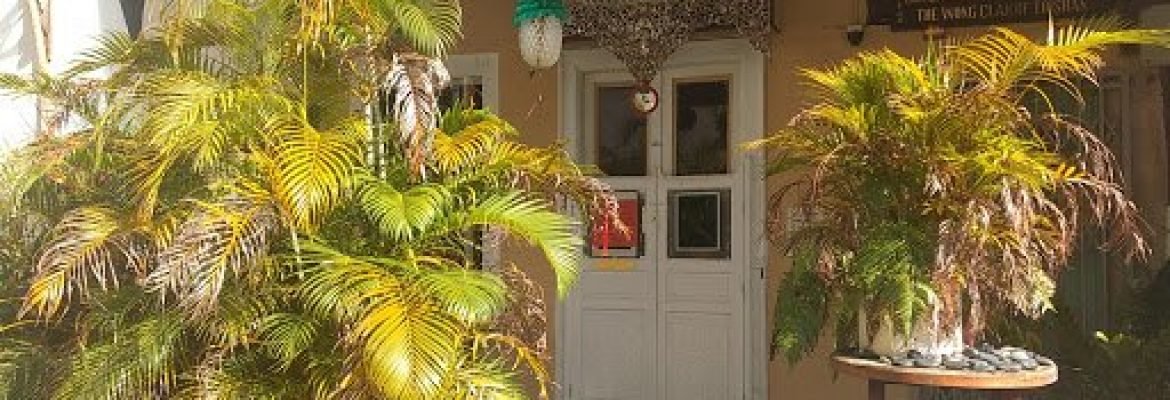 The Blacktree Botanica