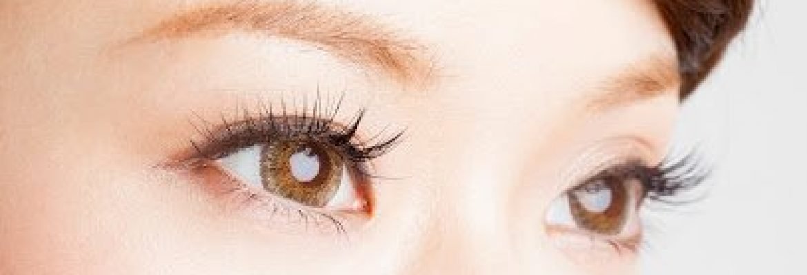 Japanese Eyelash Salon- KJStudio