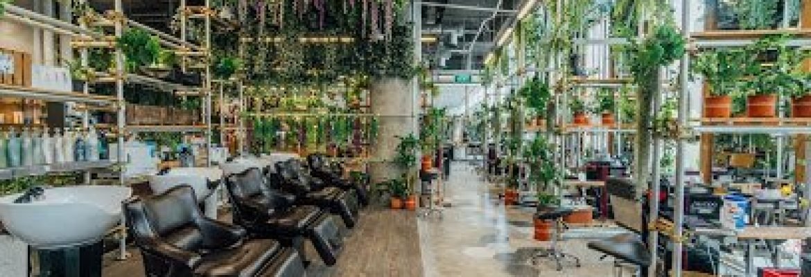 Walking On Sunshine at Orchard Central